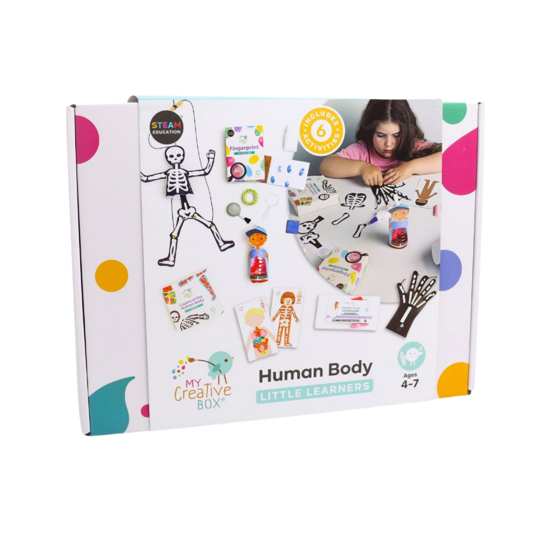 Little Learners Human Body Creative Box