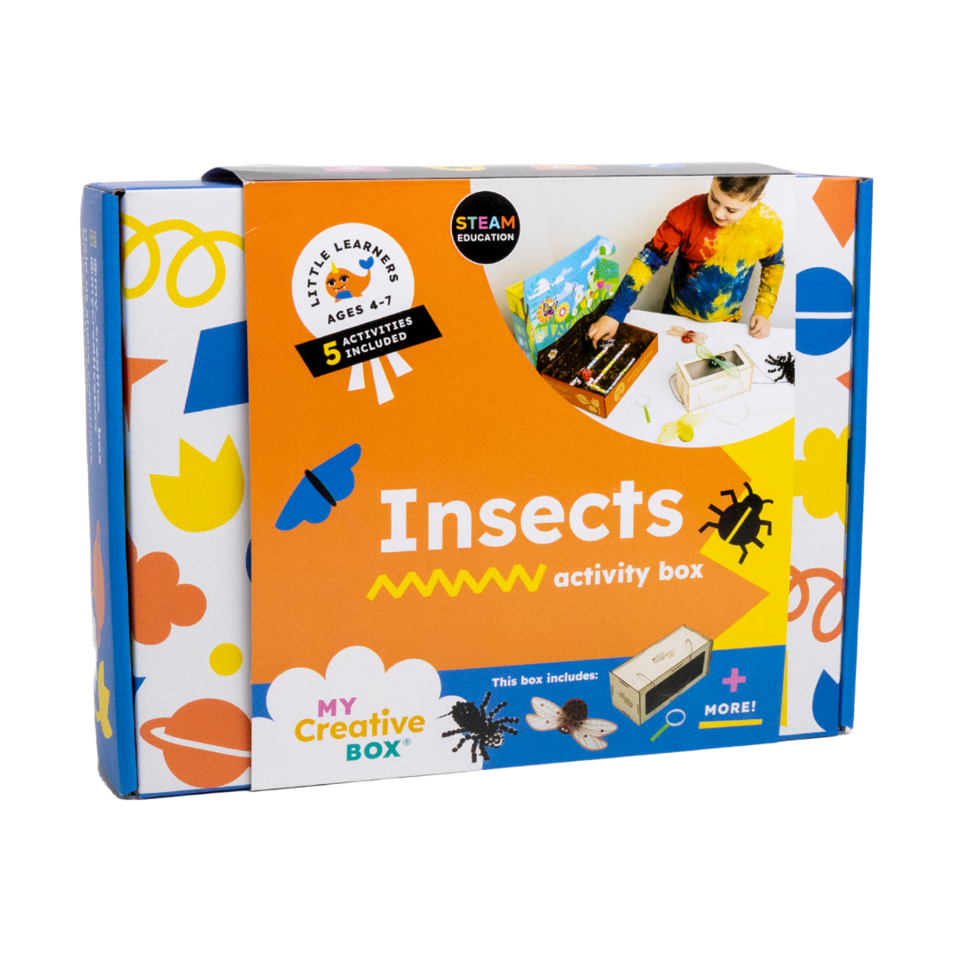 Little Learners Insects Creative Box