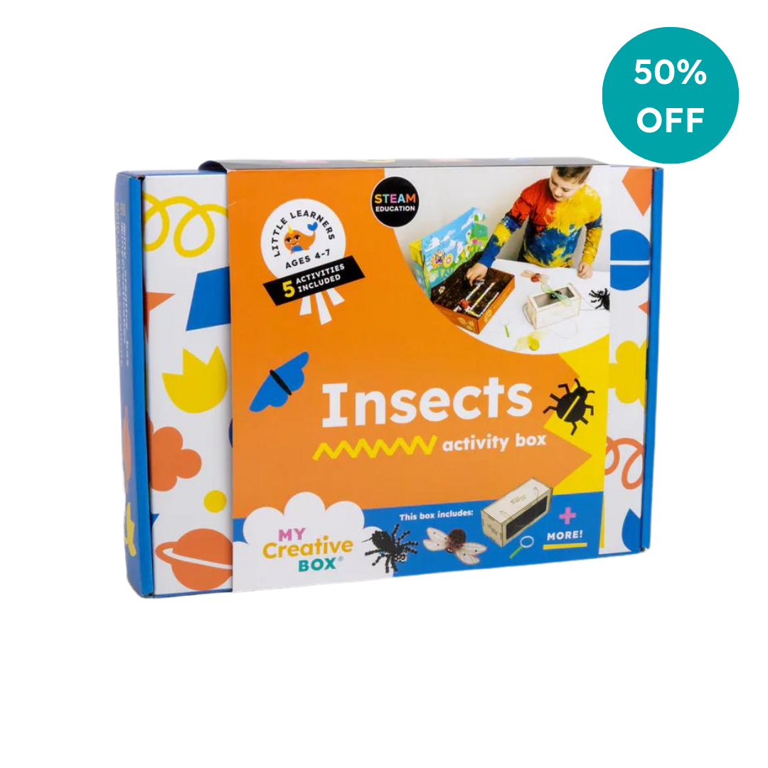 Little Learners Insects Creative Box