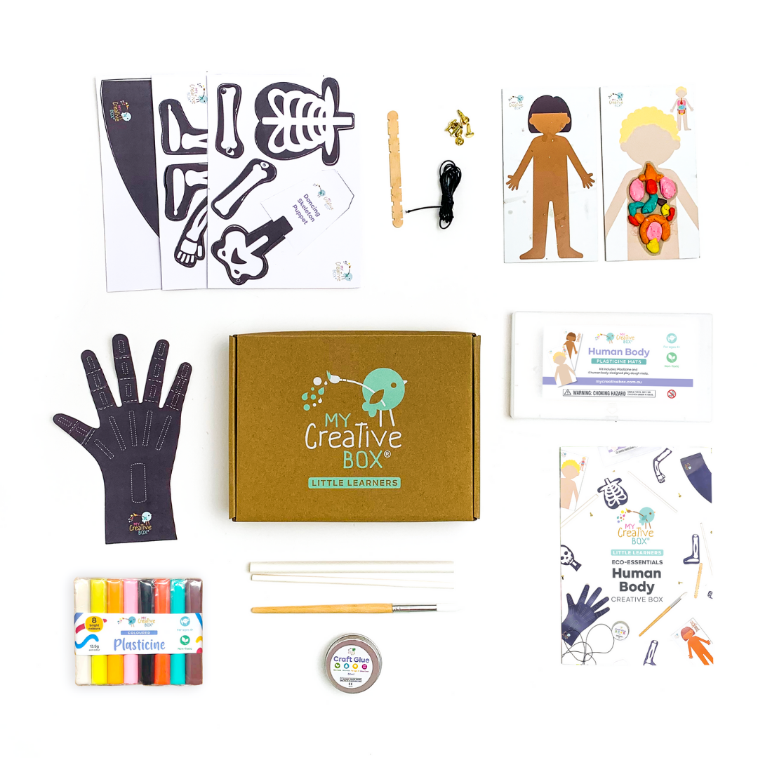Human Body Mini Creative Kit