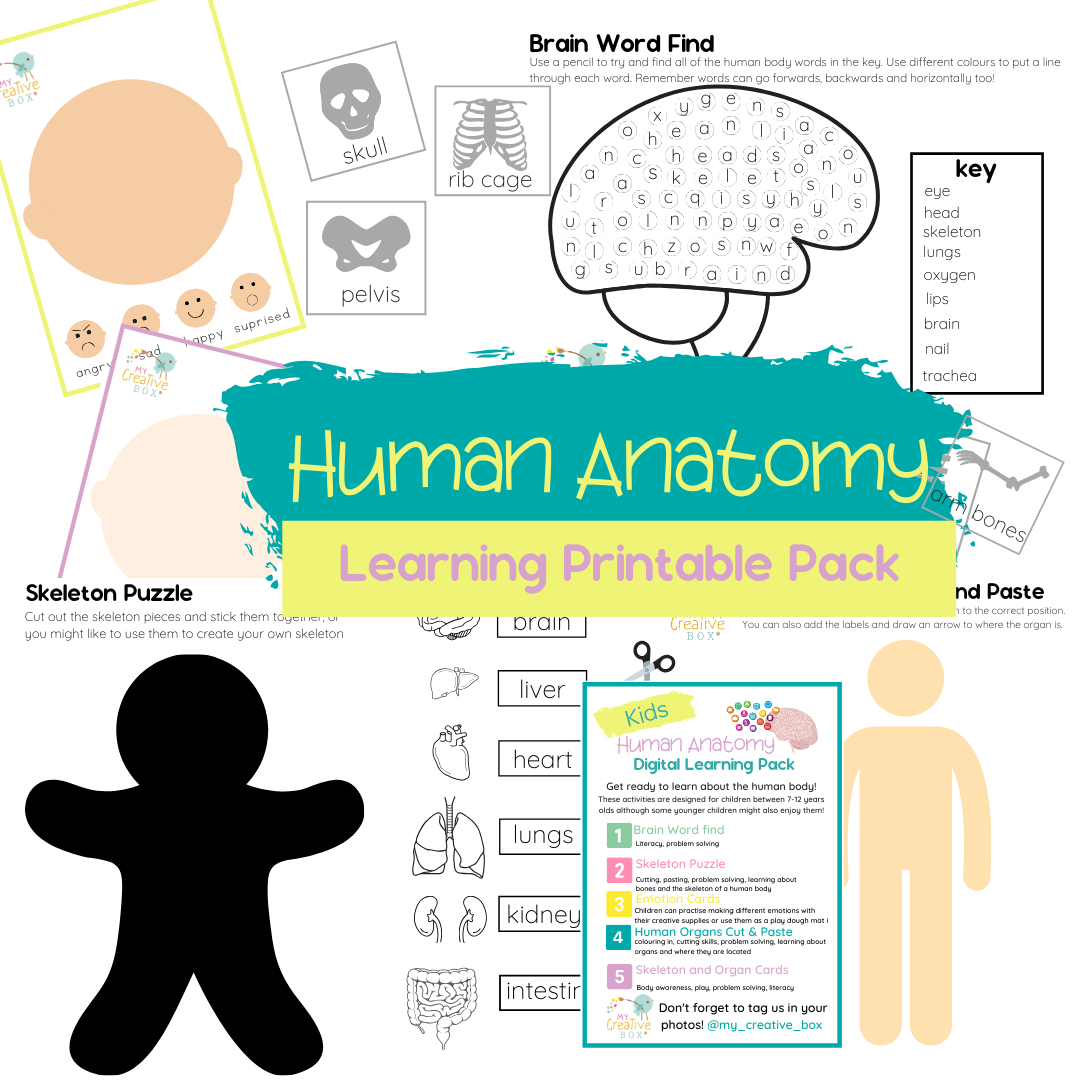 Kids Human Anatomy Digital Learning Pack