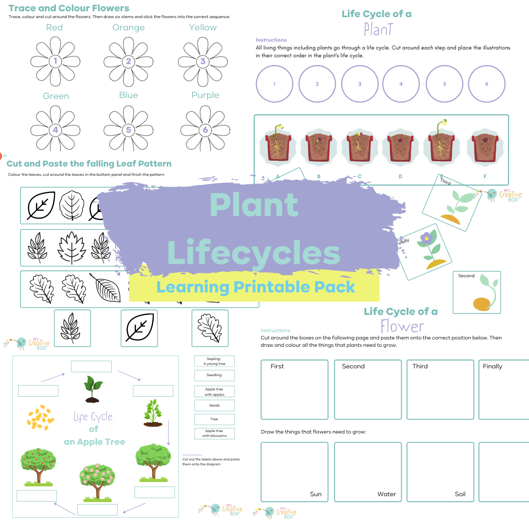 Preschool Plant and Flower Lifecycles Digital Learning Pack