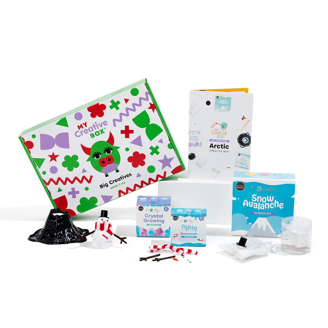 My Creative Box Big Creatives Arctic Activity Box. Arts, Craft, Science, STEM, Learning and 8-10 years Educational Fun. Kids Gift, Kids Subscription