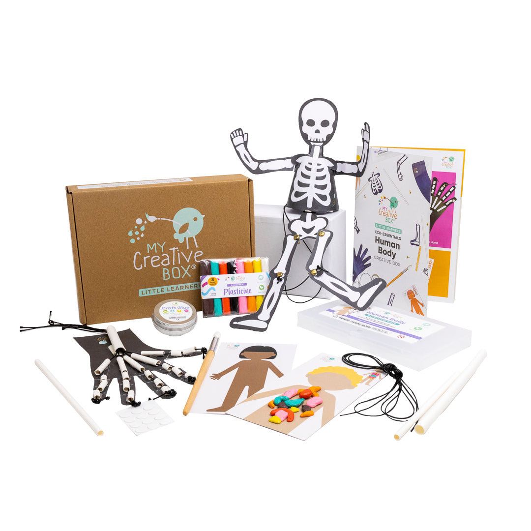 Human Body Mini Creative Kit